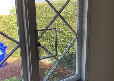 Single Wicket in Window Screen