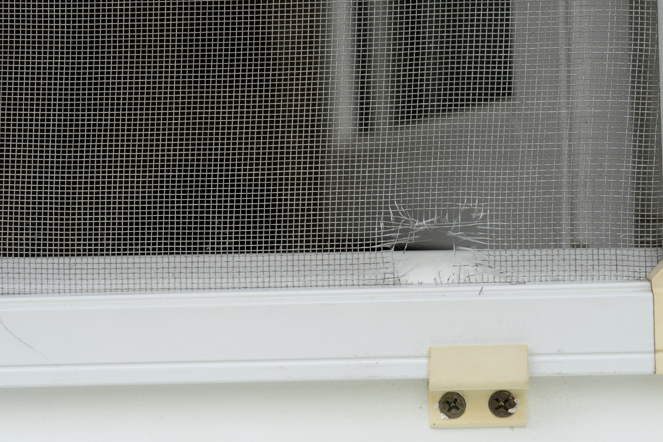 Common Problems That Require Window Screen Repair in Lemon Grove ...