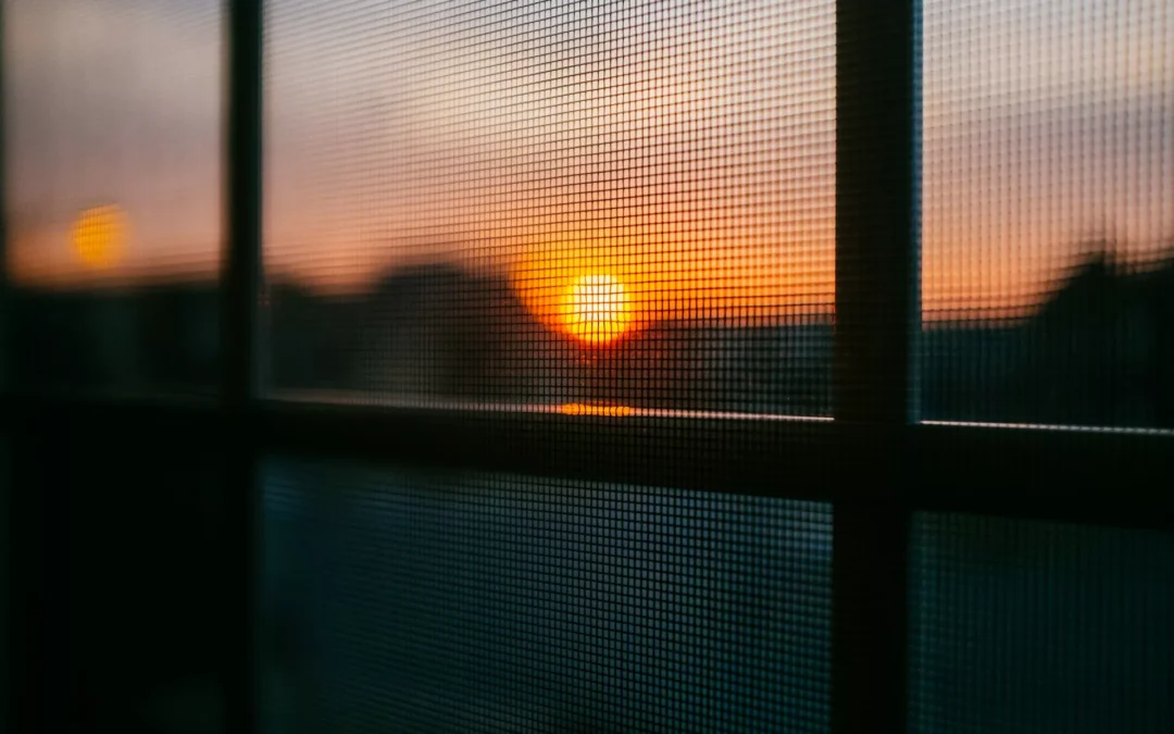 Business Window Screen Repair in Vista