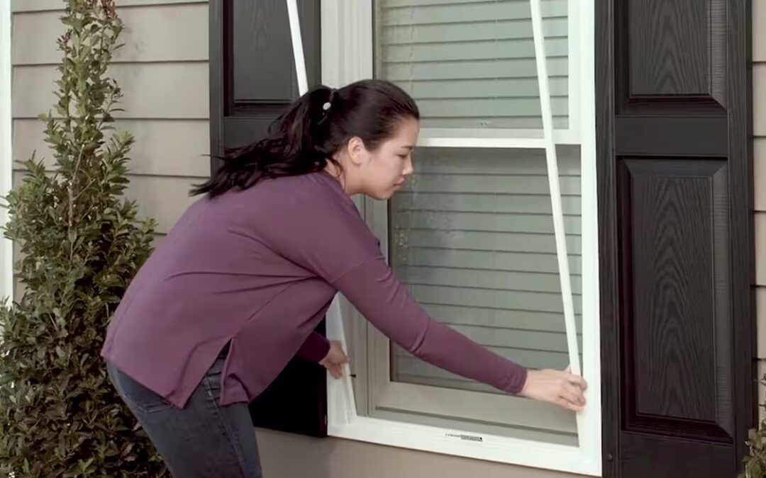 Home Window Screen Repair in Bonita