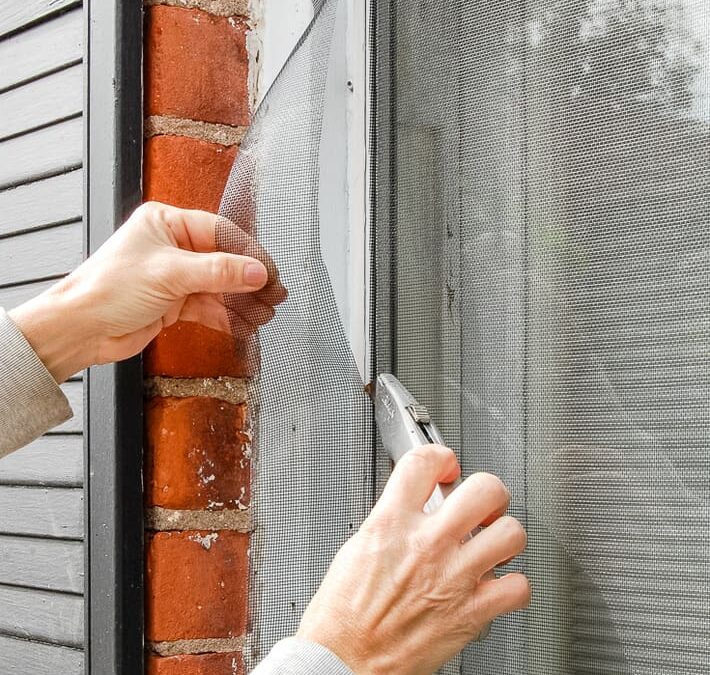 Home Window Screen Repair in Ramona