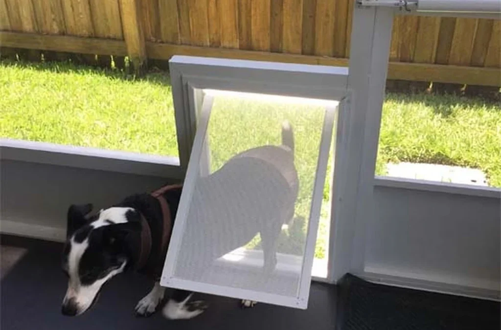 Pet Screen Repair in Clairemont