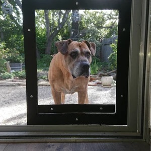 Pet Screen Repair El Cajon