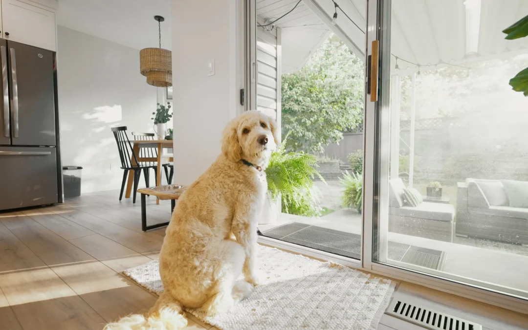 Pet Screen Repair in Escondido