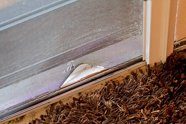 Screen Door Repair in Rancho Penasquitos