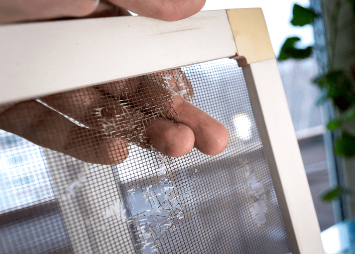 Window Screen Repair in Lakeside