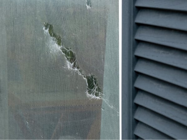 Window Screen Repair in Rancho Bernardo