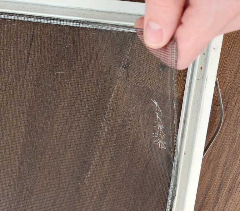 Window Screen Repair in Scripps Ranch