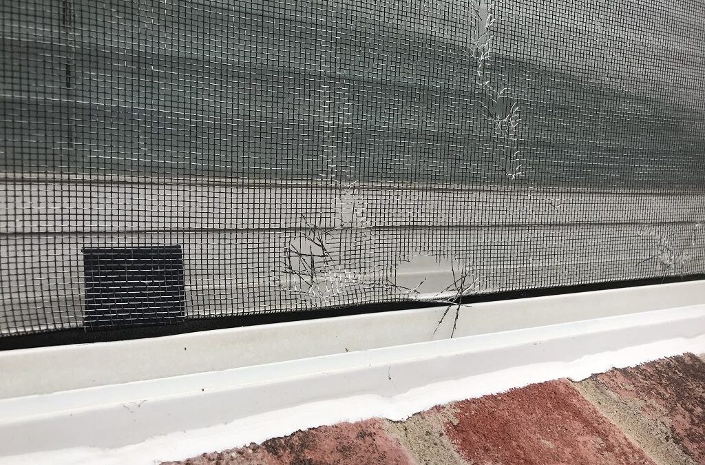 Window Screen Repair in Rancho Santa Fe