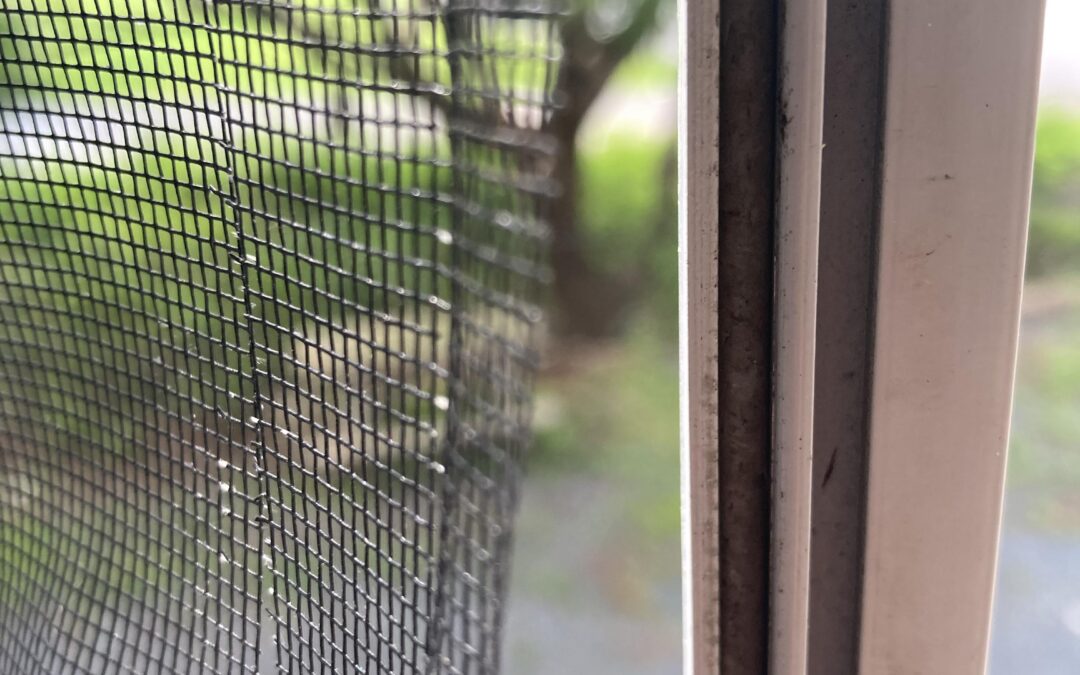 Window Screen Repair in San Diego Country Estates