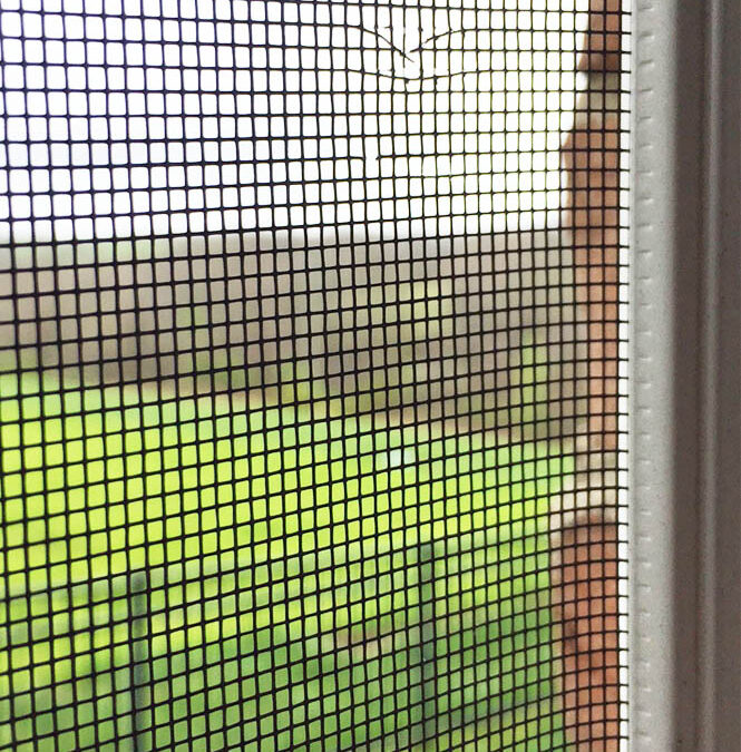 Window Screen Repair in Spring Valley