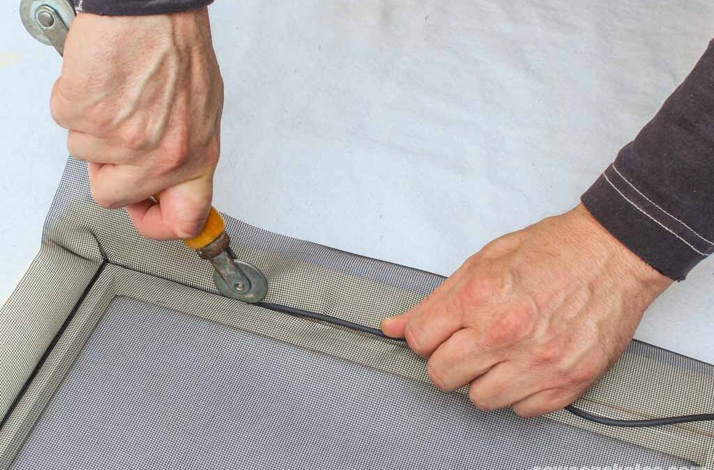 Scripps Ranch Window Screen Replacement vs. Repair
