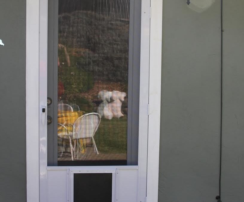 Pet Screen Repair in Rancho San Diego