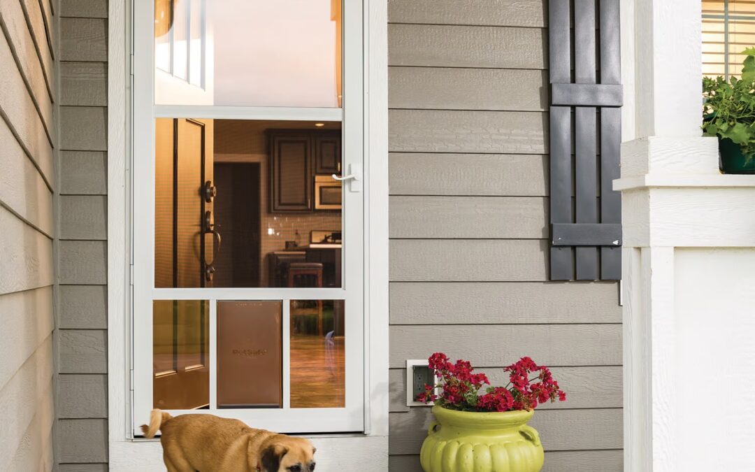 Protect Your Home and Pets with Pet Screen Repair in Cardiff