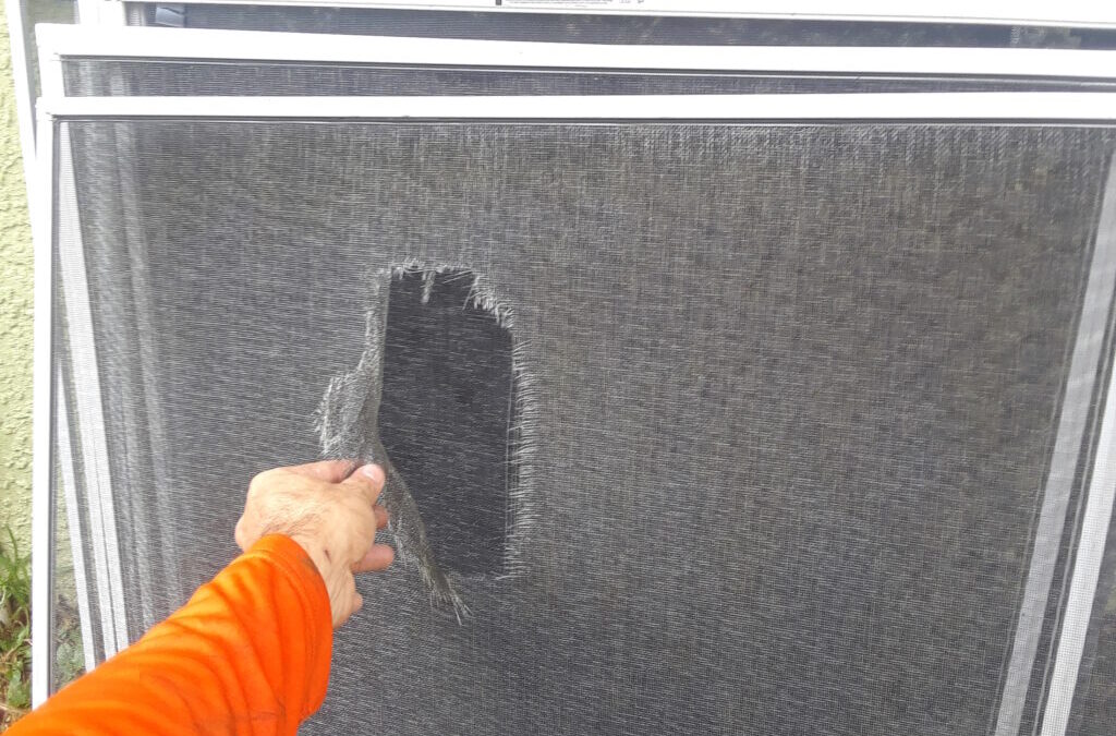 Best Home Window Screen Repair in Chula Vista