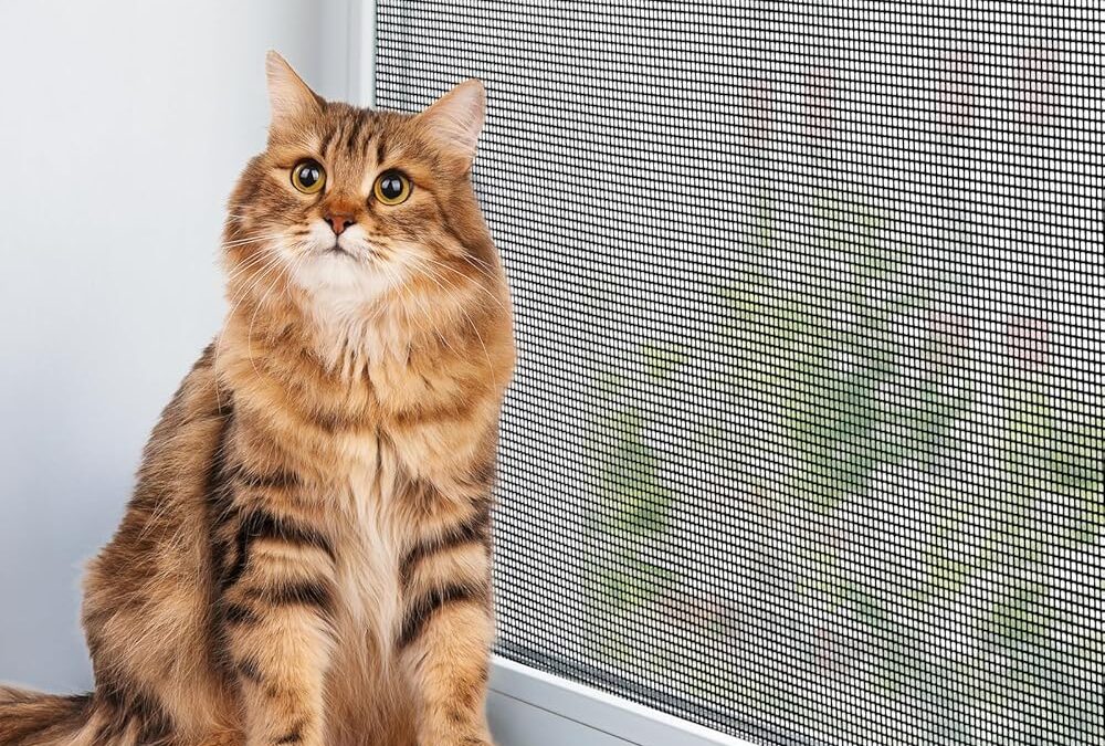 Pet Screen Repair in Scripps Ranch