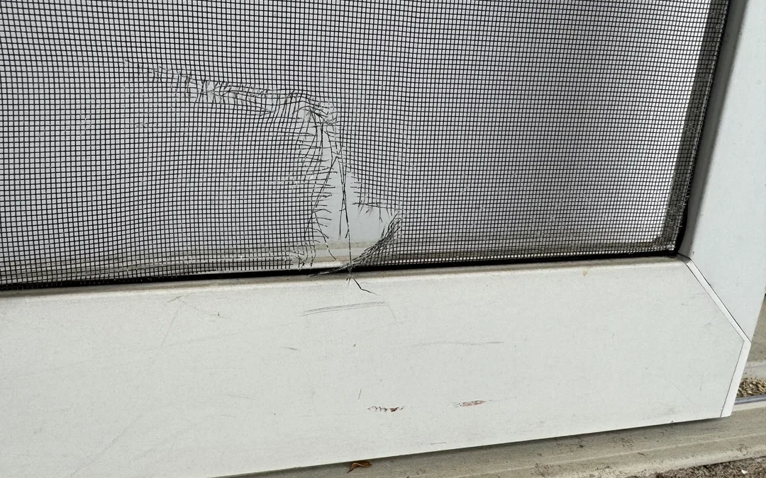 Screen Door Repair in National City