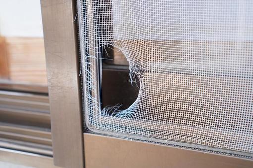 Window Screen Repair in Fallbrook