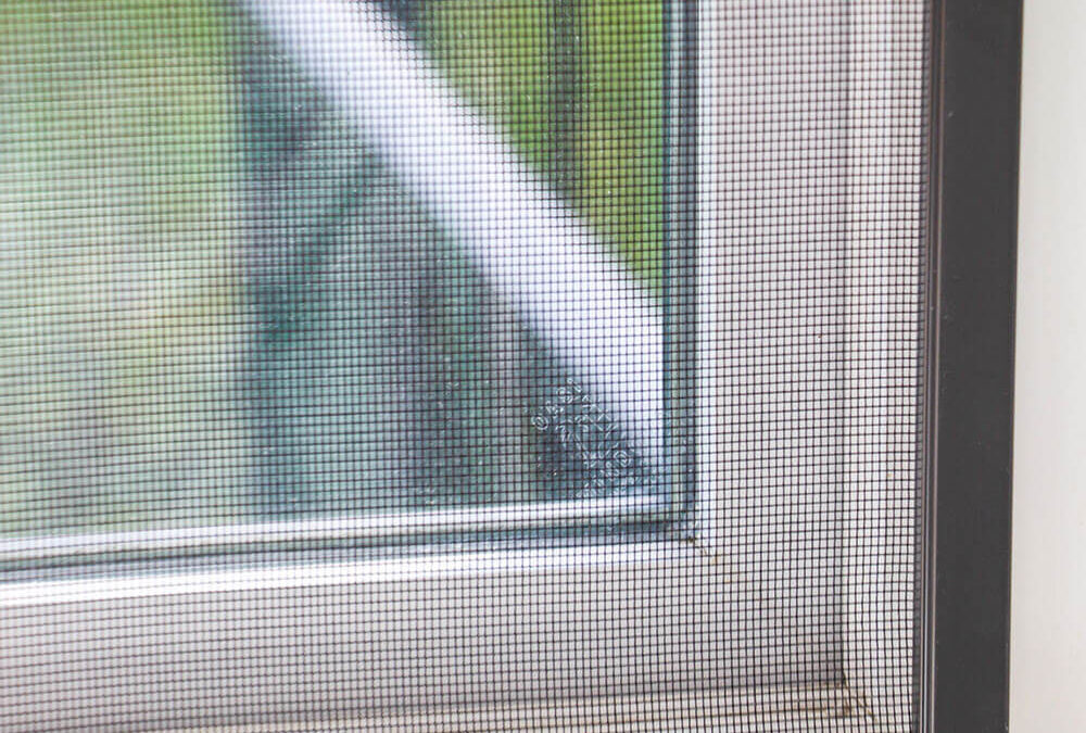 Restore Your Home’s Comfort with Window Screen Repair in Vista