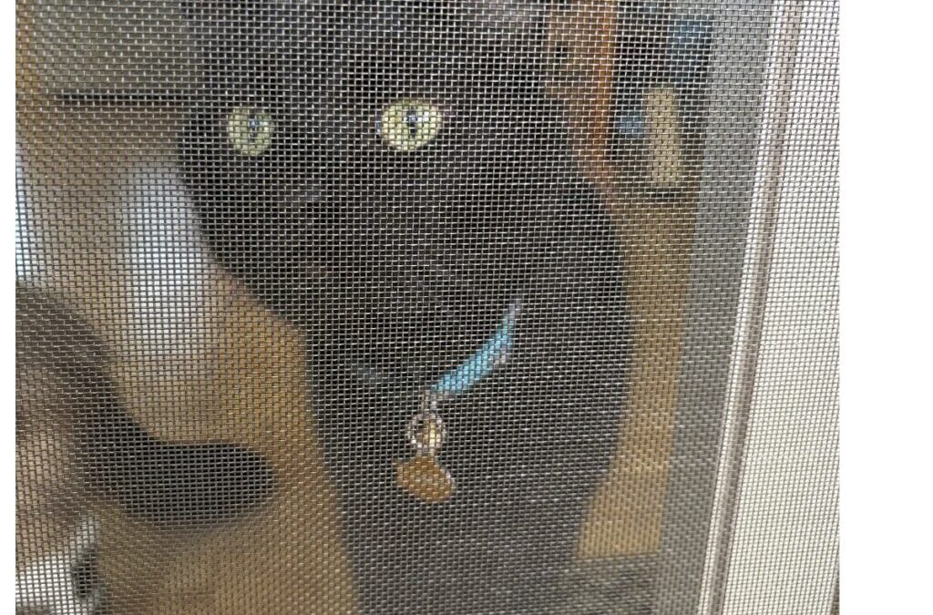 Pet Screen Repair Bonita