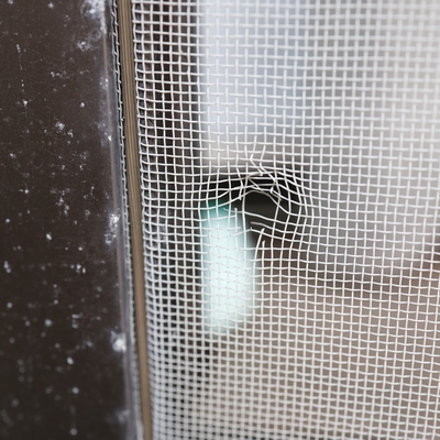 Why Window Screen Repair in Lemon Grove is Essential