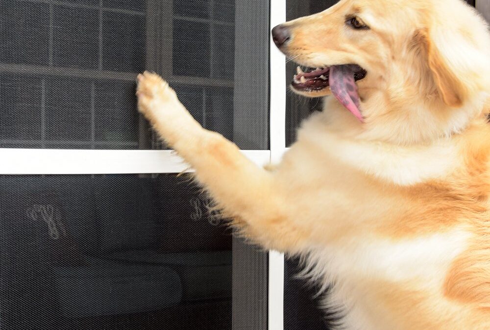 Pet Screen Repair San Diego