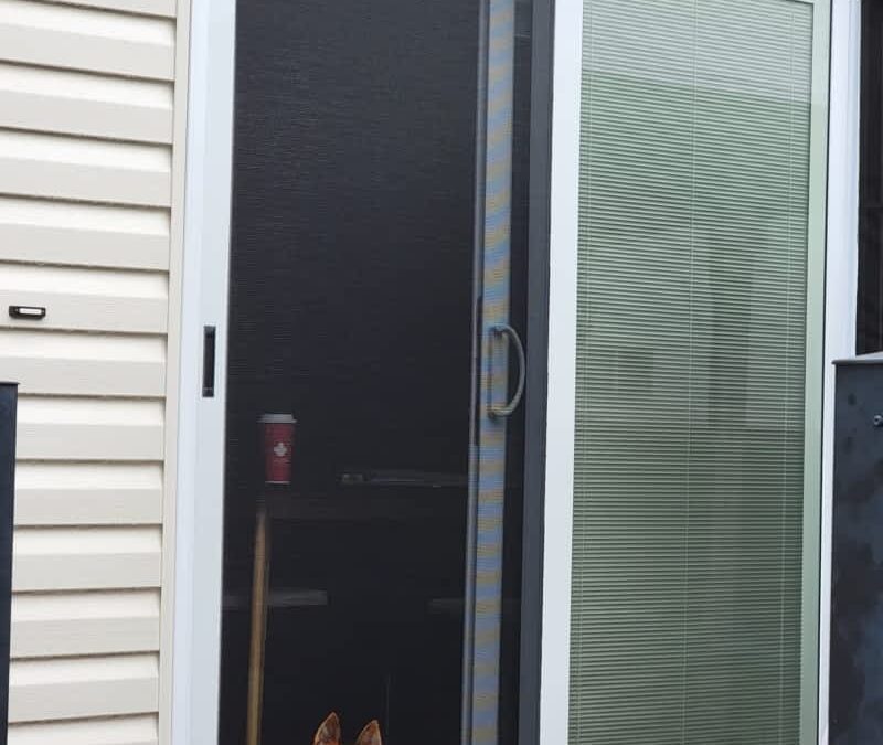Pet Screen Repair Santee