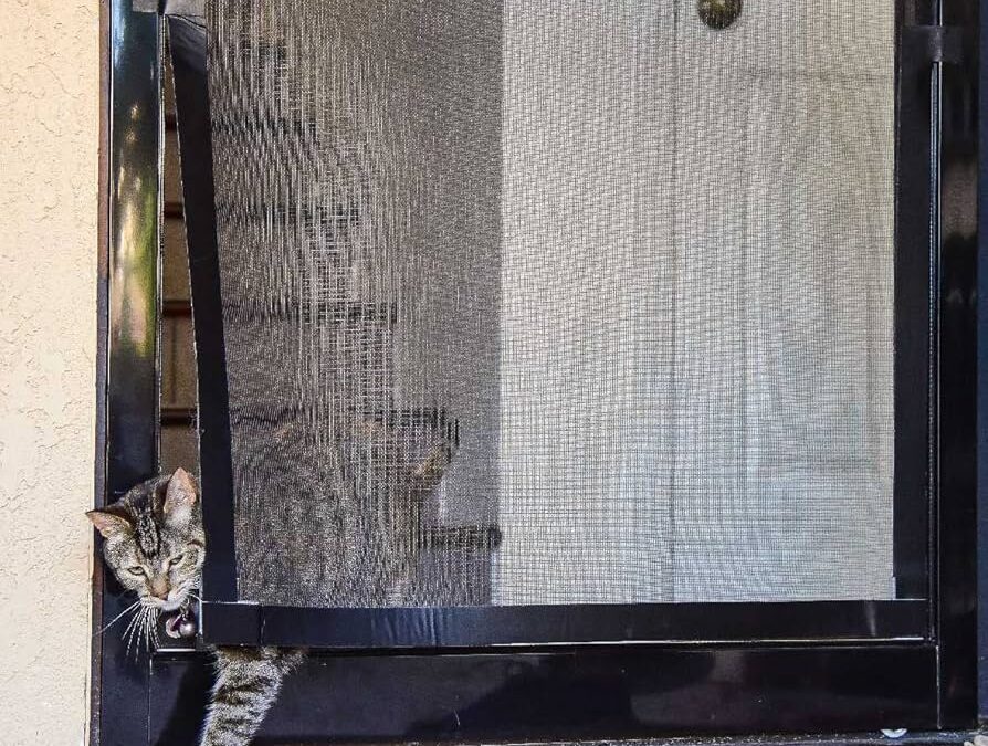 Pet Screen Repair Clairemont