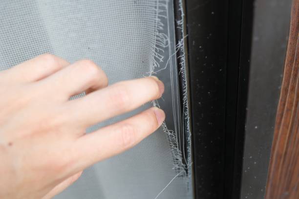 Screen Door Repair Carmel Valley