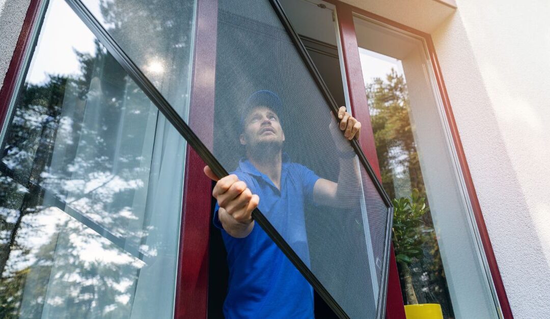 Window Screen Specialist in Carlsbad