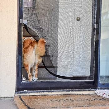 Pet Screen Repair in Carmel Valley