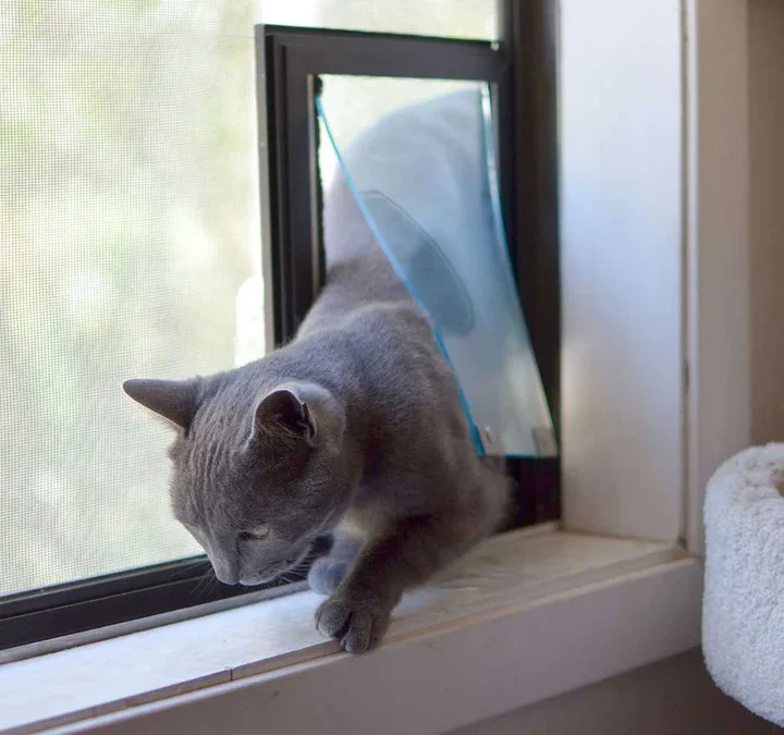 Pet Screens Repair Imperial Beach