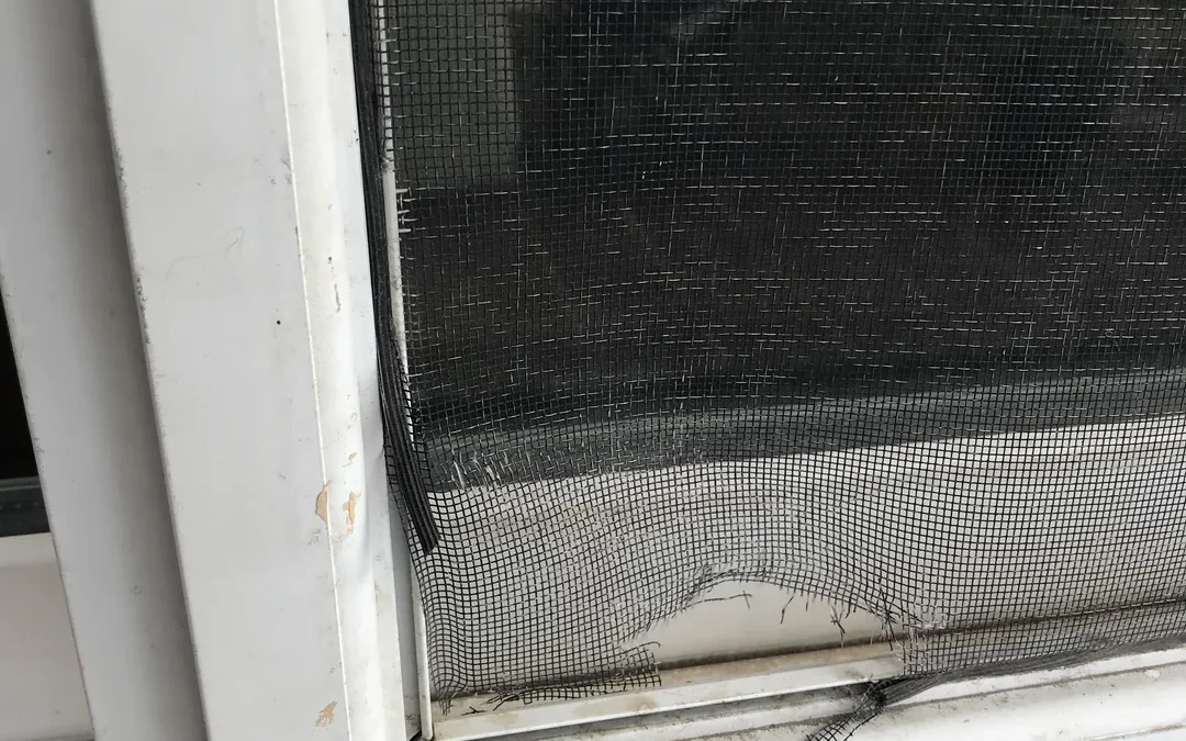 Screen Door Repair Del Mar