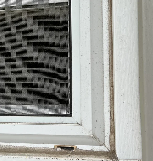 Home Window Screen Repair Vista