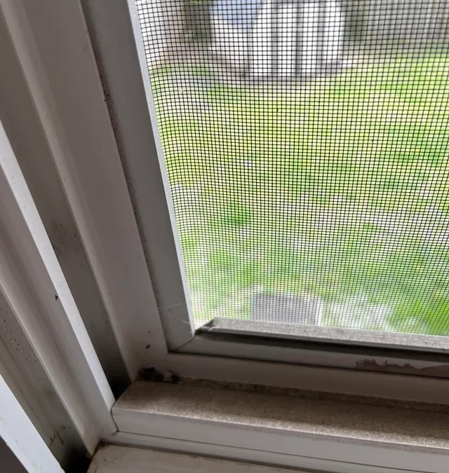 Home Window Screen Repair Santee