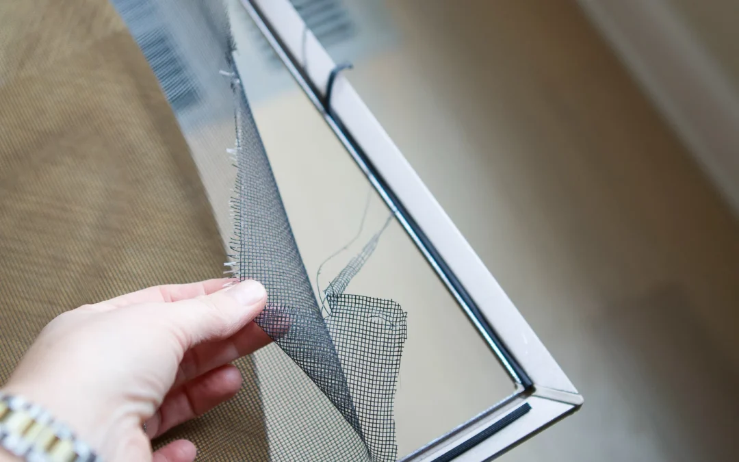 Window Screen Replacement Scripps Ranch