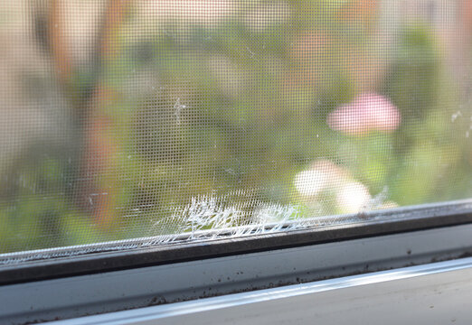 Home Window Screen Repair Clairemont