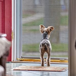 Rancho San Diego Pet Screen Repair