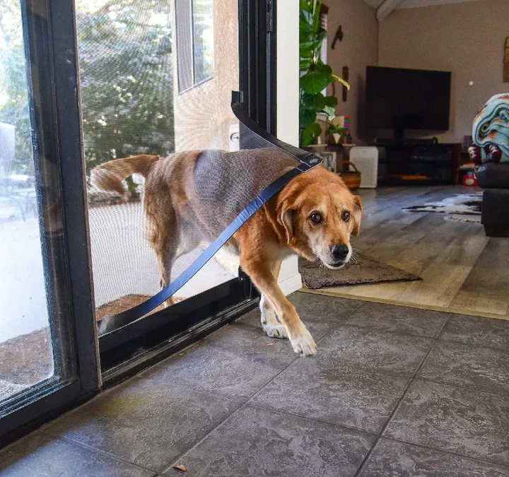 Pet Screens Repair Rancho Bernardo