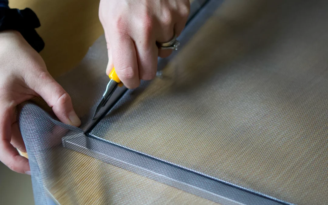Bonita Window Screen Replacement