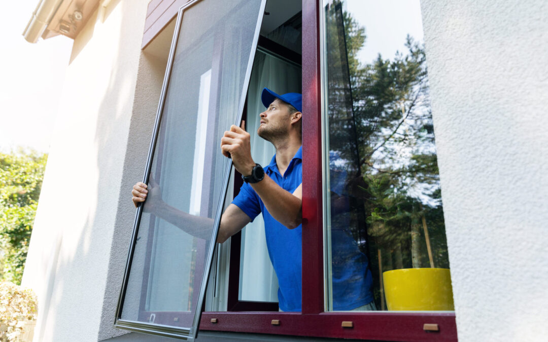 Window Screen Replacement Spring Valley