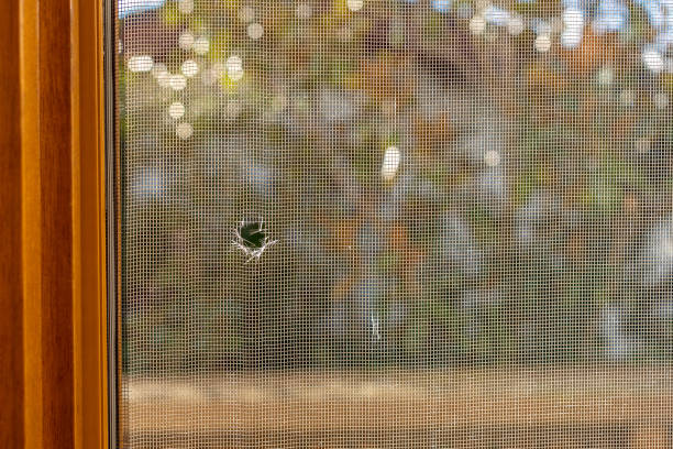 Home Window Screen Repair Chula Vista