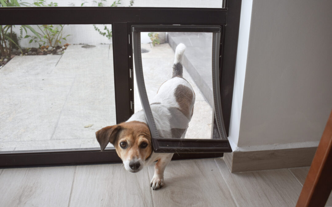 Pet Screen Repair Scripps Ranch