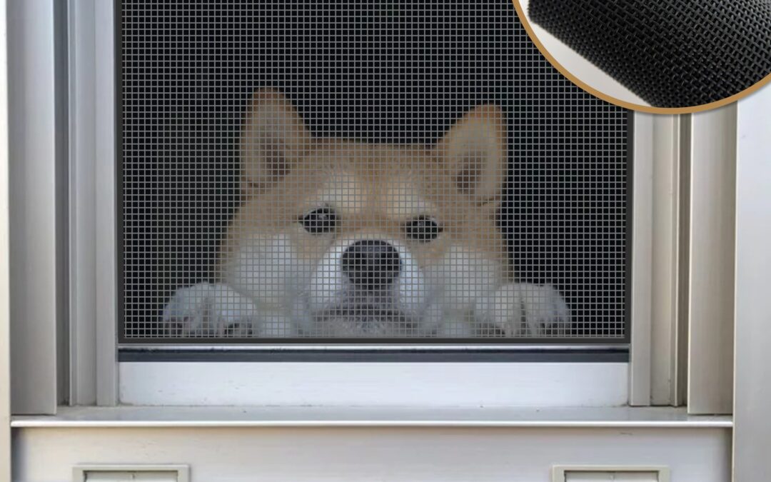 Pet Screen Repair Solana Beach