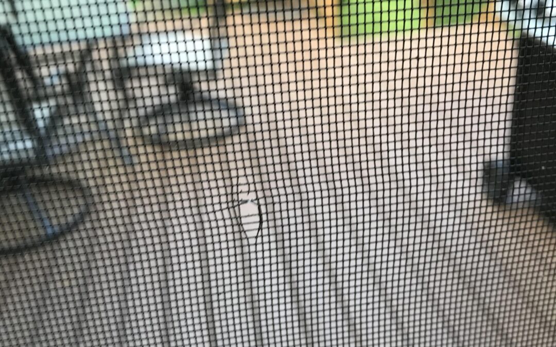 Window Screen Repair Santee