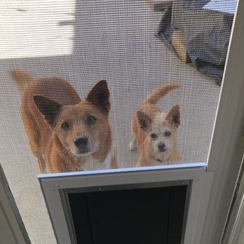 Pet Screen Repair Temecula