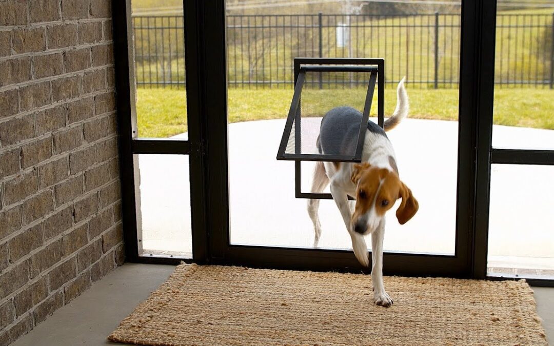 Pet Screen Repair National City