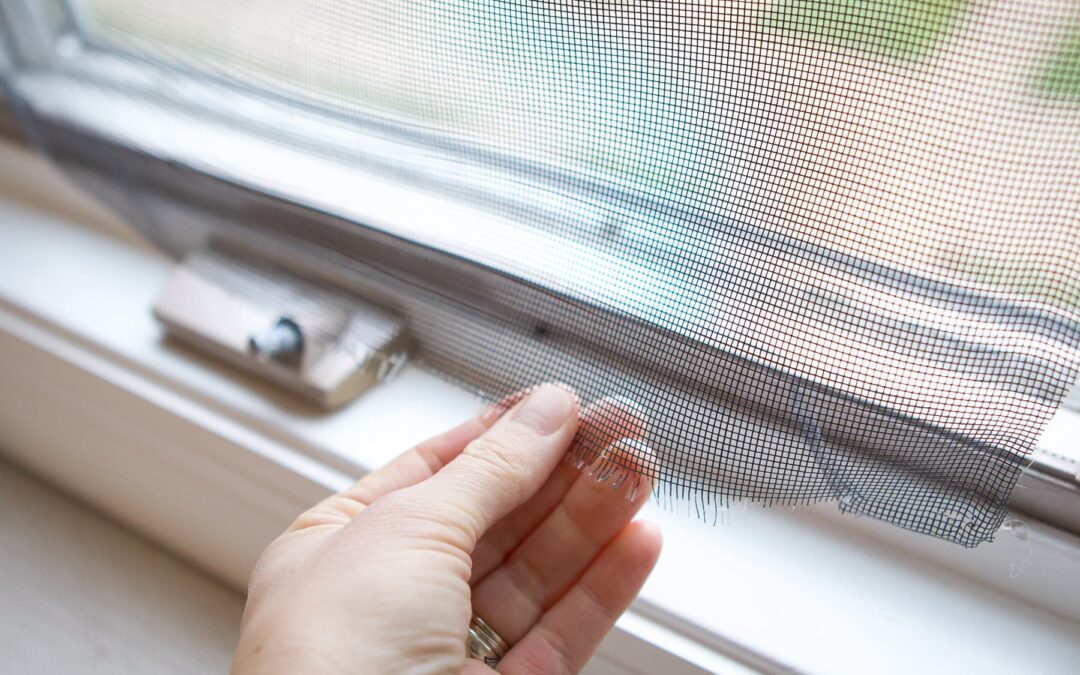 Home Window Screen Repair Scripps Ranch