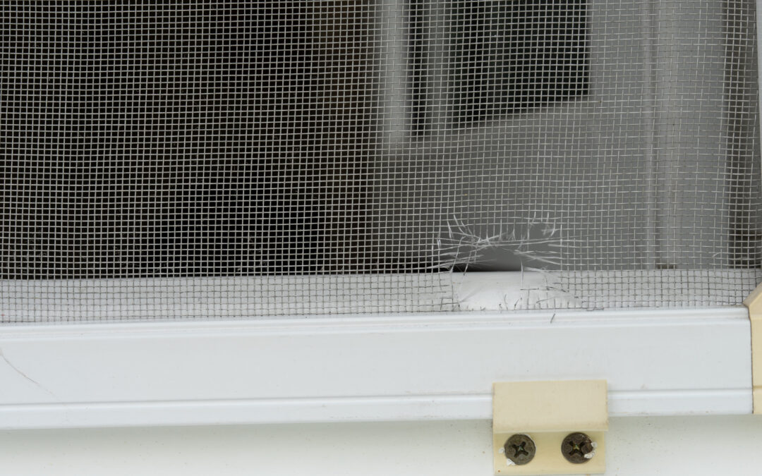 Window Screen Repair Temecula