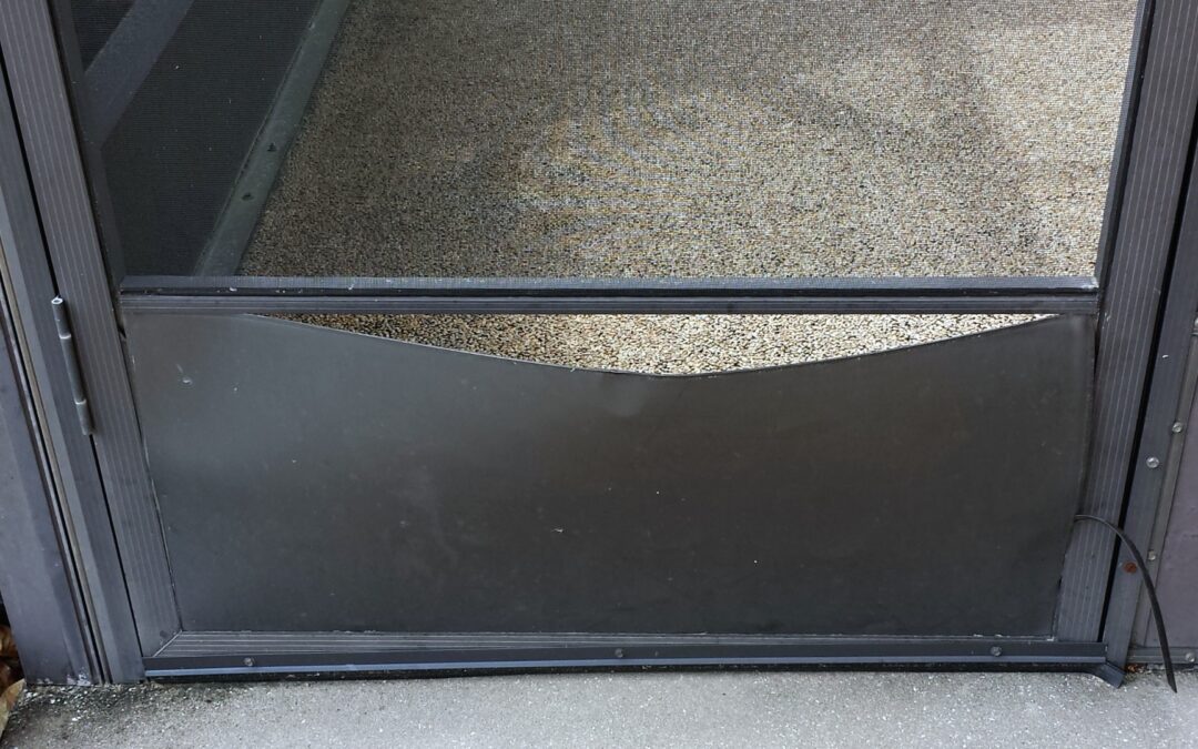 Lemon Grove Screen Door Repair
